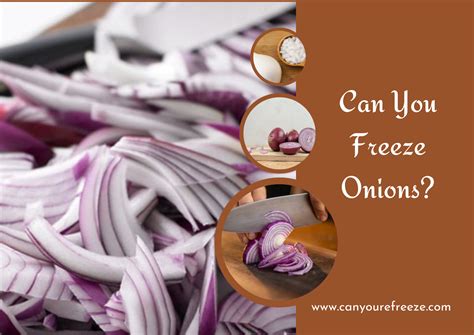 Can You Freeze Onions? Why Freeze Onions? - Can You Refreeze