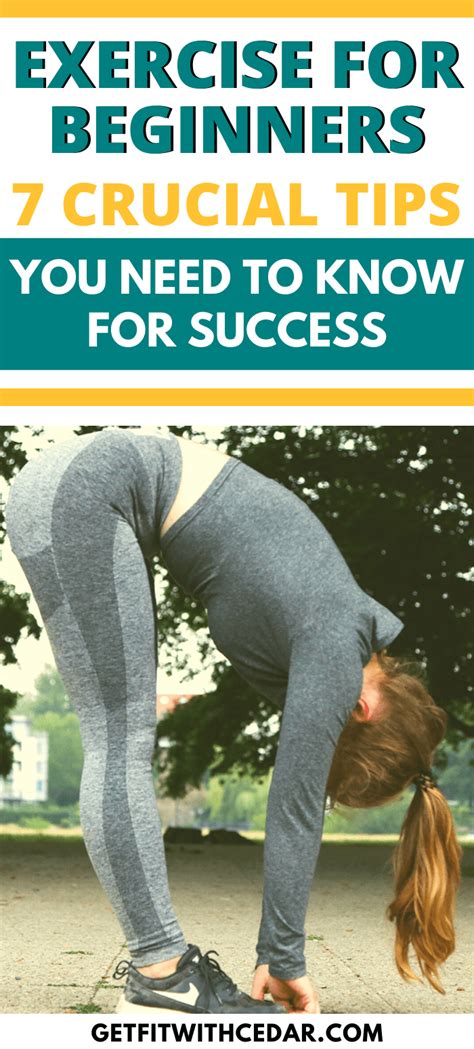 Exercise Beginner 的图像结果