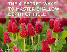 min depth of 4 ways to get shallow depth of field and make your subject min depth of 4 ways to get shallow depth of field and make your subject