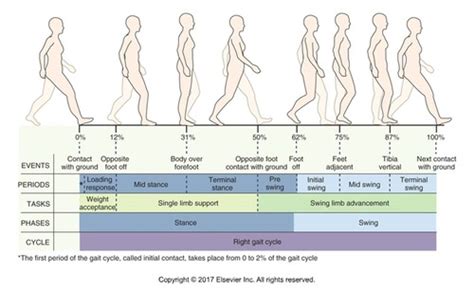 Image result for Explain 2NF with Example