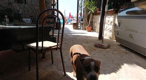 Oaza (Bar / Pub) - Rogoznica