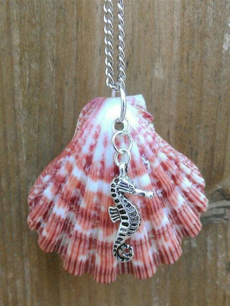 Image result for Shells Do It Yourself