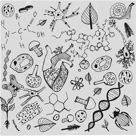 Image result for Biological Vector