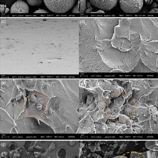 Image result for Deep Tissue Pi