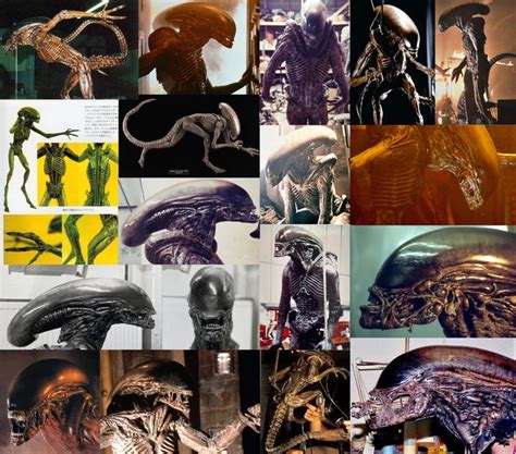 Alien 3 xenomorph reference sheet | Alien | Know Your Meme