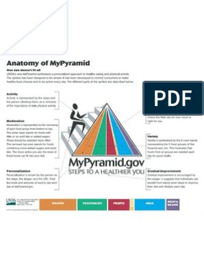 Image result for MyPyramid