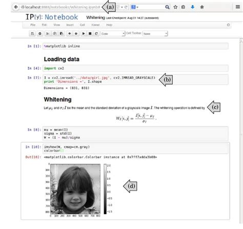 Image result for IPython Notebook Format