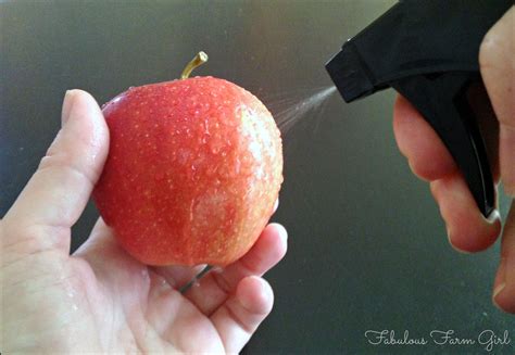 How To Make Your Own Produce Wash | Fabulous Farm Girl
