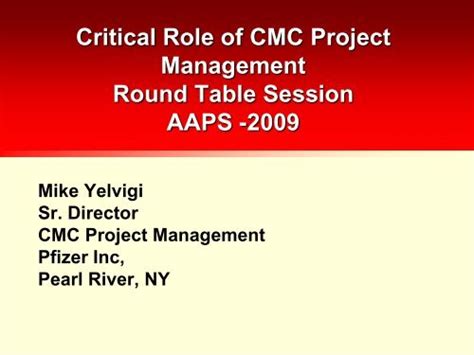 Image result for CMC Challenges for Project Management
