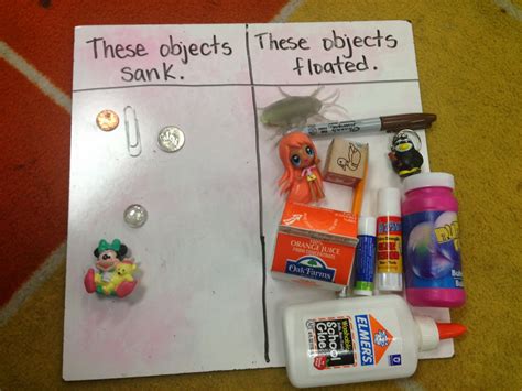 5 Grade Science Projects 的图像结果