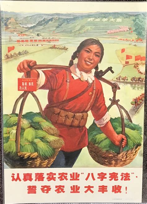 Renzhen luoshi nongye Ba zi xianfa / Shiduo nongye da fengshou! poster