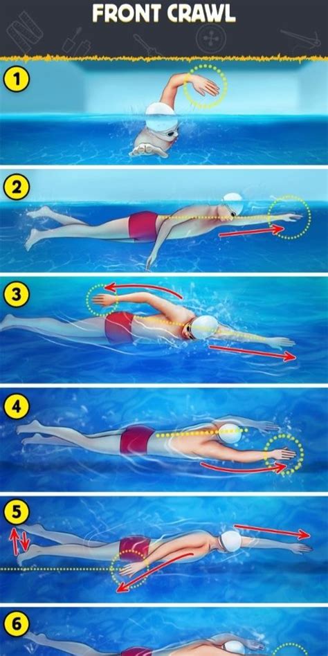 Front Crawl Swimming 的图像结果