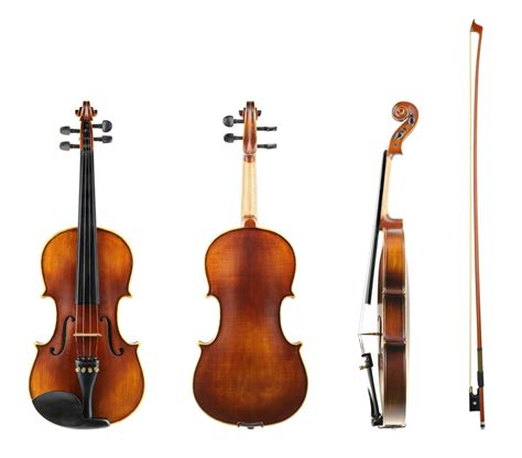 13 Types of Violins Every Violinist Should Know - Violinspiration