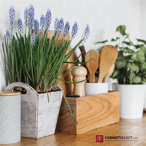 Kitchen Look Expensive 的图像结果