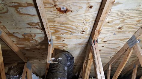 Denver Mold Removal & Remediation Cost | Surface & Air Testing Cost