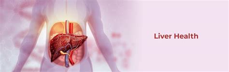 7 Powerful Habits for a Healthy Liver (Naturally Boosted)