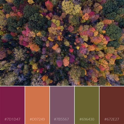 Fall Color Palette Hex Codes - Preschool Coloring Printables