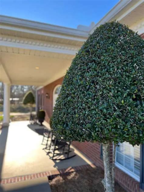 Location | Beggs Funeral Home