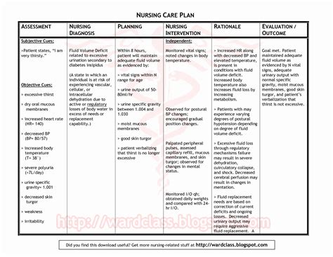 How To Write A Nursing Care Plan Pdf at Scott Mcrae blog