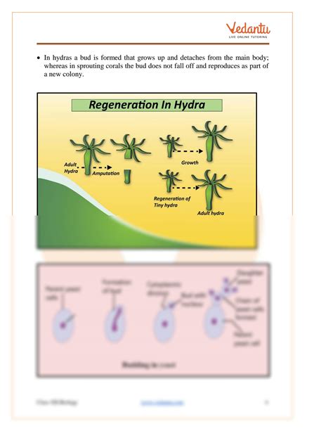 Image result for Class 12 Bio Chapter 1 Pooja Mishra