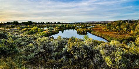 Hyatt Hidden Lakes Reserve — Golden Eagle Audubon