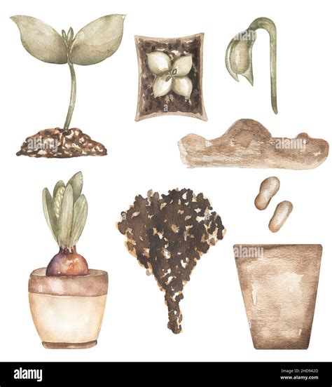 Gardening Clipart, Watercolor vintage Planting time Diy clip art ...