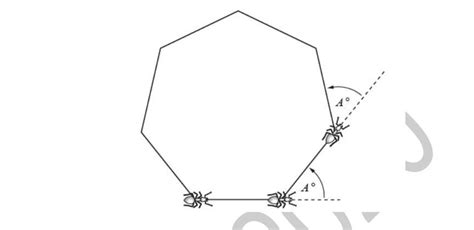 The ant repeats the two steps 7 times, going around the polygon until ...