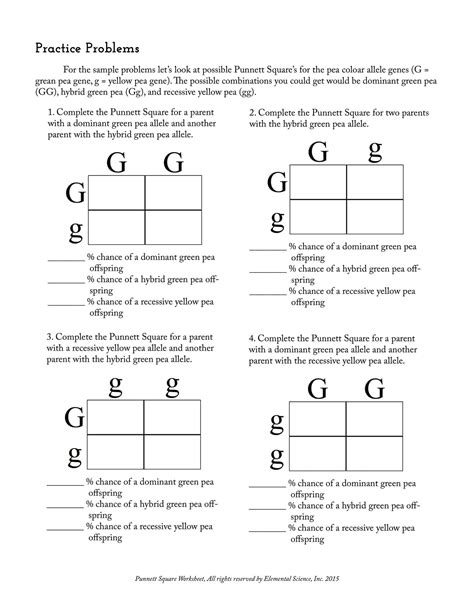 Blank Punnett Square Worksheet