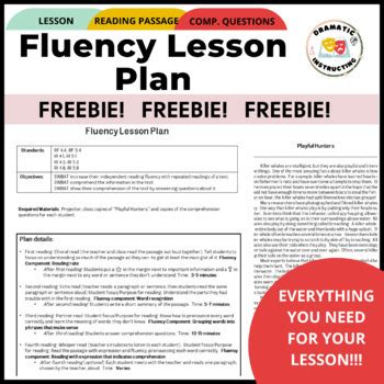 Image result for Fluency Lesson