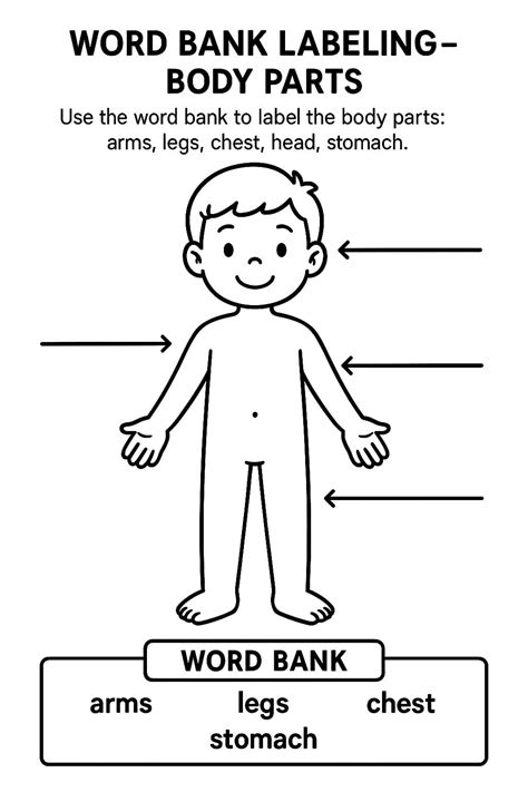 Word Bank Labeling – Body Parts Worksheet - Download & Print Now!