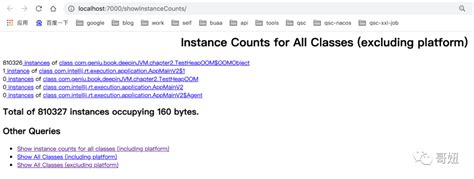 Java Hprof 的图像结果