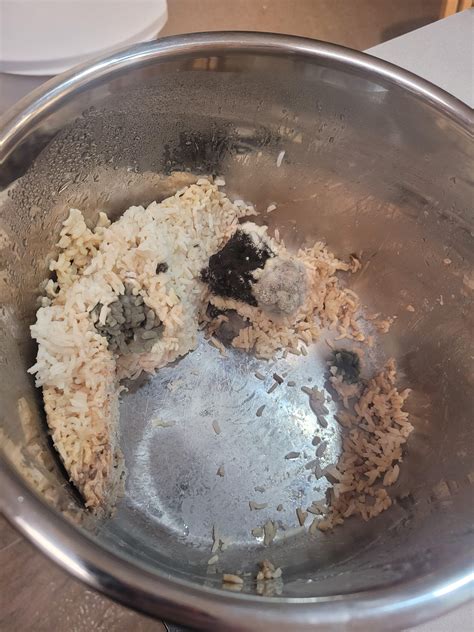 Someone forgot to throw the rice away.... : r/MoldlyInteresting