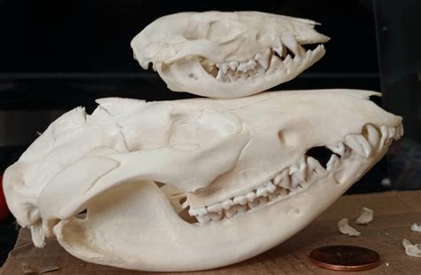 I don’t think I’ve ever posted my full collection. Consists of over 200 ...