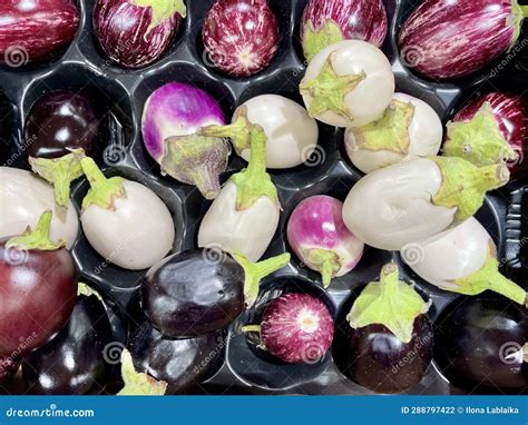 Original white eggplant stock photo. Image of organic - 288797422