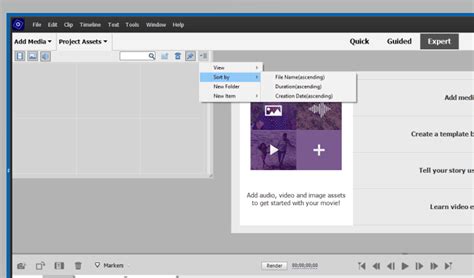 Image result for Adobe Organiser Elements 2021 Tutorial