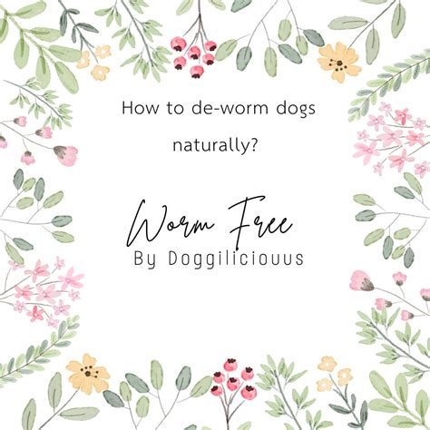 De Worming Dogs Naturally 的图像结果