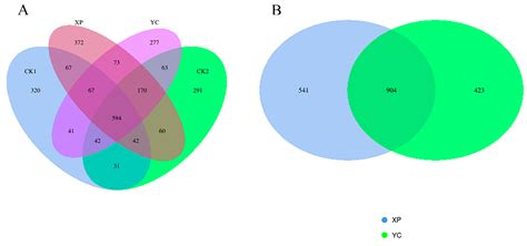 Effect of Diet Supplementation with Two Yeast Cultures on Rumen ...
