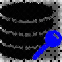 Data Encryption Icon 的图像结果