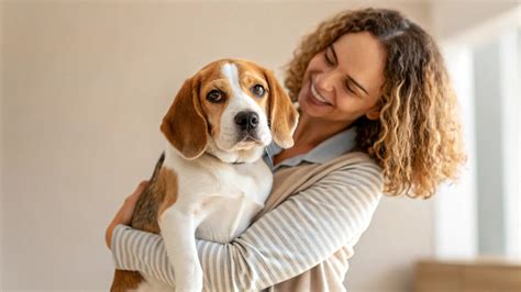 How to Estimate a Dog's Weight: A Comprehensive Guide for Pet Owners ...