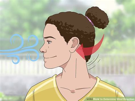 Image result for Wind Direction in Weather Report