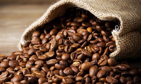 Creative World Wide Distribution Pvt Ltd | Wholesale Video Games ...