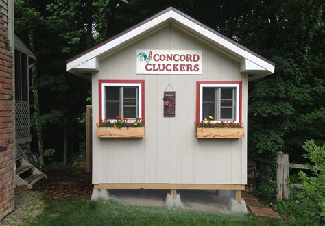Concord Cluckers Coop | BackYard Chickens - Learn How to Raise Chickens