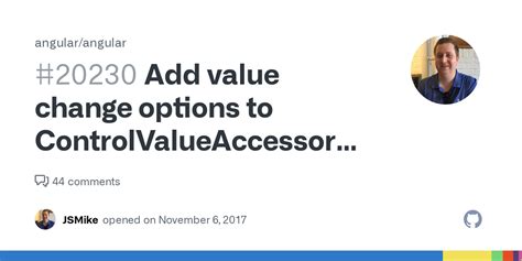 Image result for Controlvalueaccessor