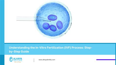 Image result for Vitro Fertilization IVF Process