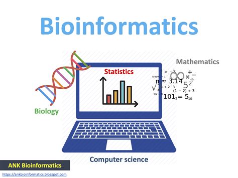 Image result for Bioinformatics Explained