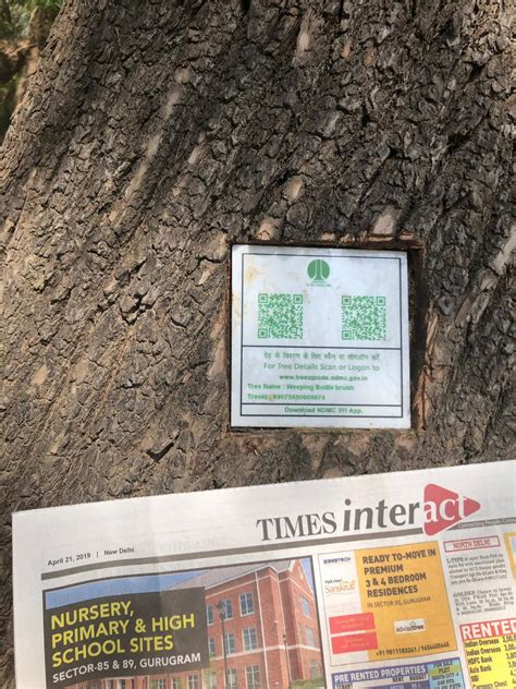 NDMC Dug Holes In Trees At Lodhi Garden To Stick Plastic With Logo And ...