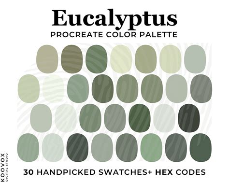 Eucalyptus Green Color Palette for Procreate, Procreate Swatches ...