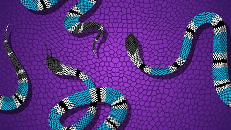 Python Life Salesforce 的图像结果