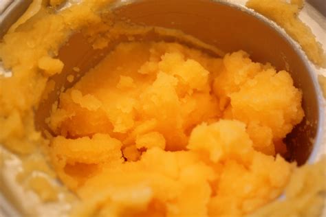 Cleanse Your Palate: Satsuma Sorbet