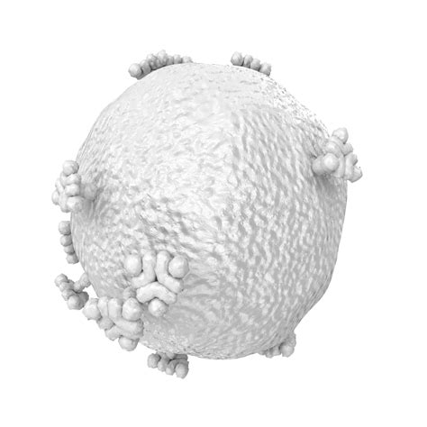 Image result for Computer Virus Transparent Background